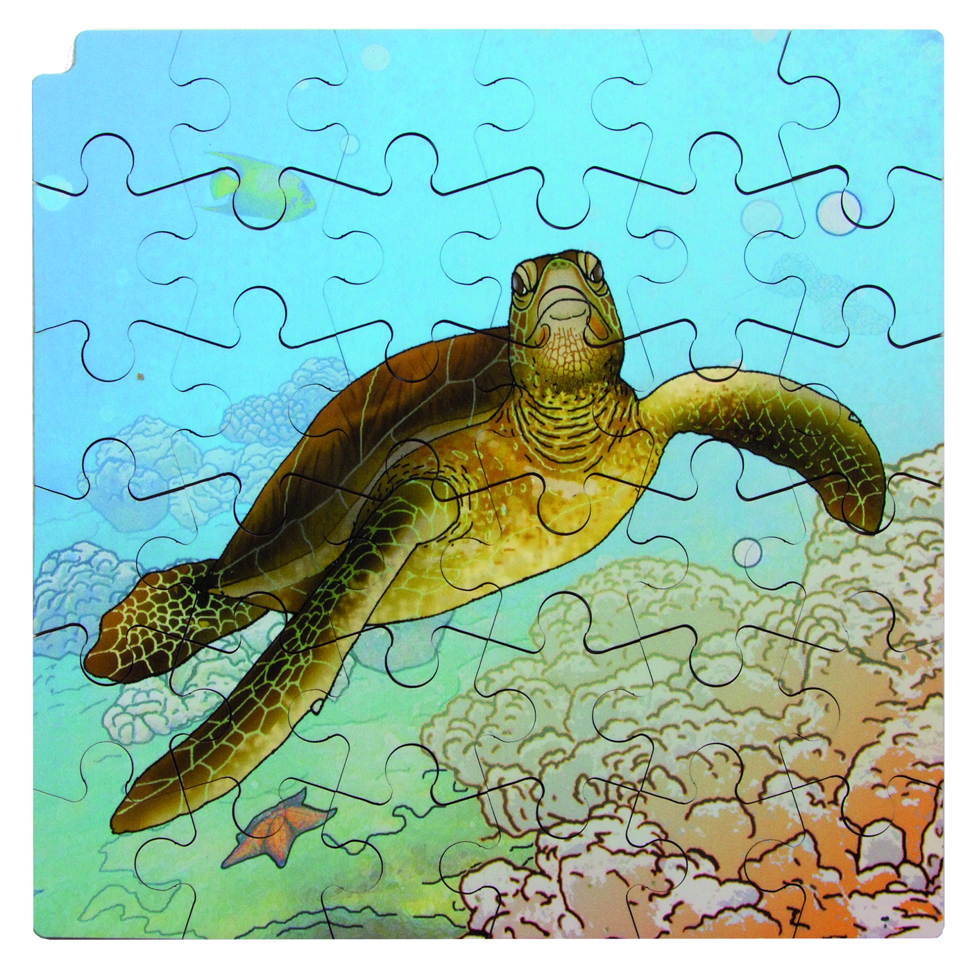 Rolf Connect - Vier Lagen Wachstumspuzzle + Kostenlose App Schildkröte