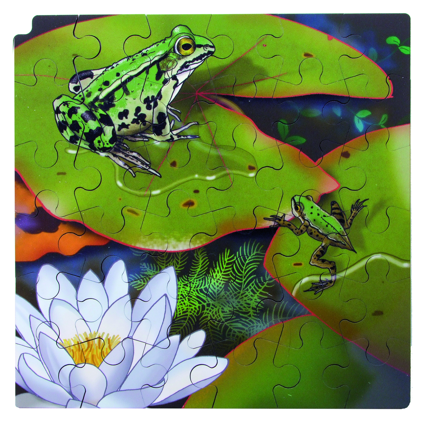 Wachstumspuzzle Frosch